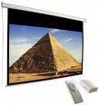 Draper Electric Screen (800009)